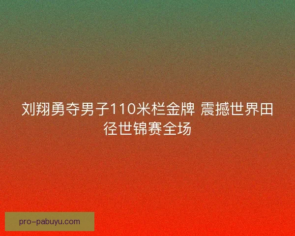 刘翔勇夺男子110米栏金牌 震撼世界田径世锦赛全场 刘翔勇夺男子110米栏金牌 震撼世界田径世锦赛全场